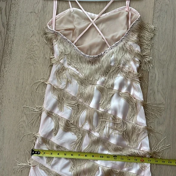 Vintage Fringe Flapper Girl Dress - Picture 11 of 14